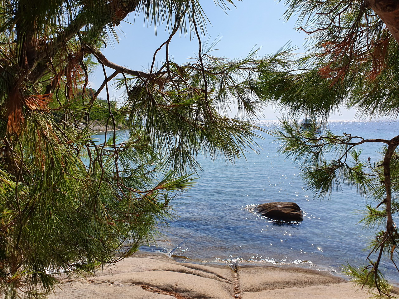  Spathies beach Sithonia 